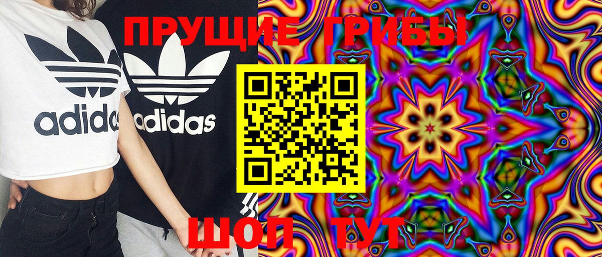 Галлюциногенные грибы Psilocybine cubensis Фурманов